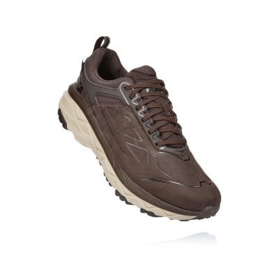 Men's Hoka Challenger Low GORE-TEX Hiking Shoes Brown / White | US56EVAFD