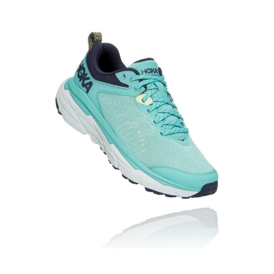 Women's Hoka Challenger ATR 6 Trail Running Shoes Blue | US46ABWJQ