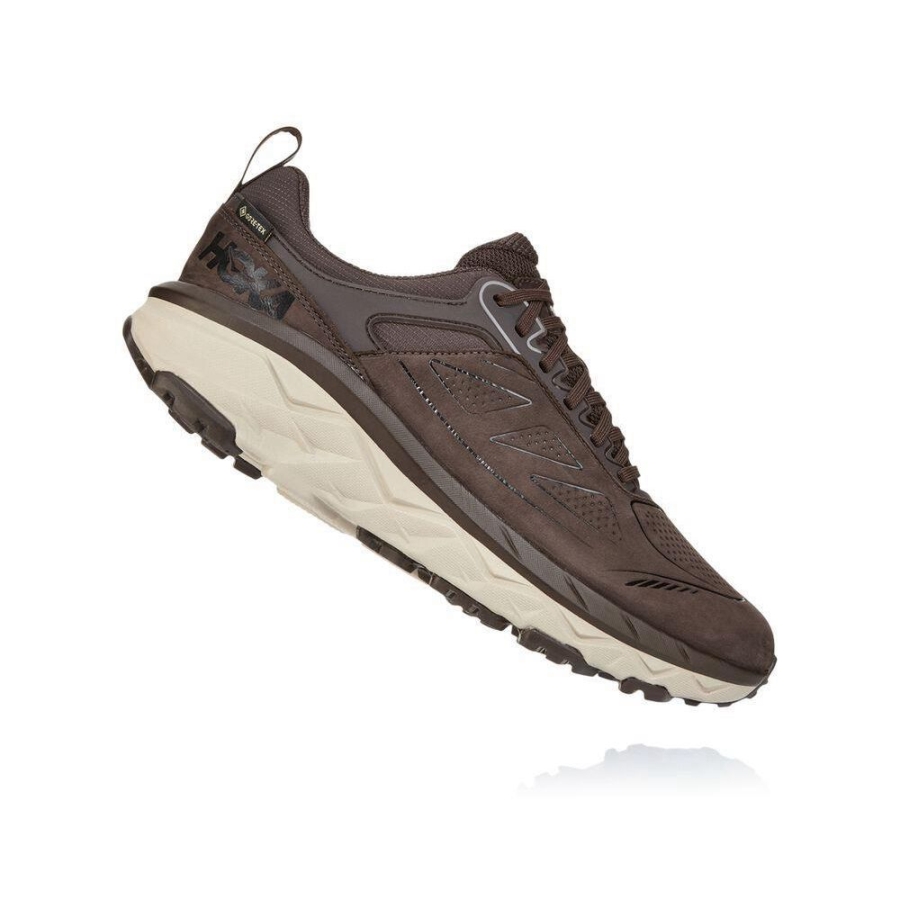 Men's Hoka Challenger Low GORE-TEX Hiking Shoes Brown / White | US56EVAFD