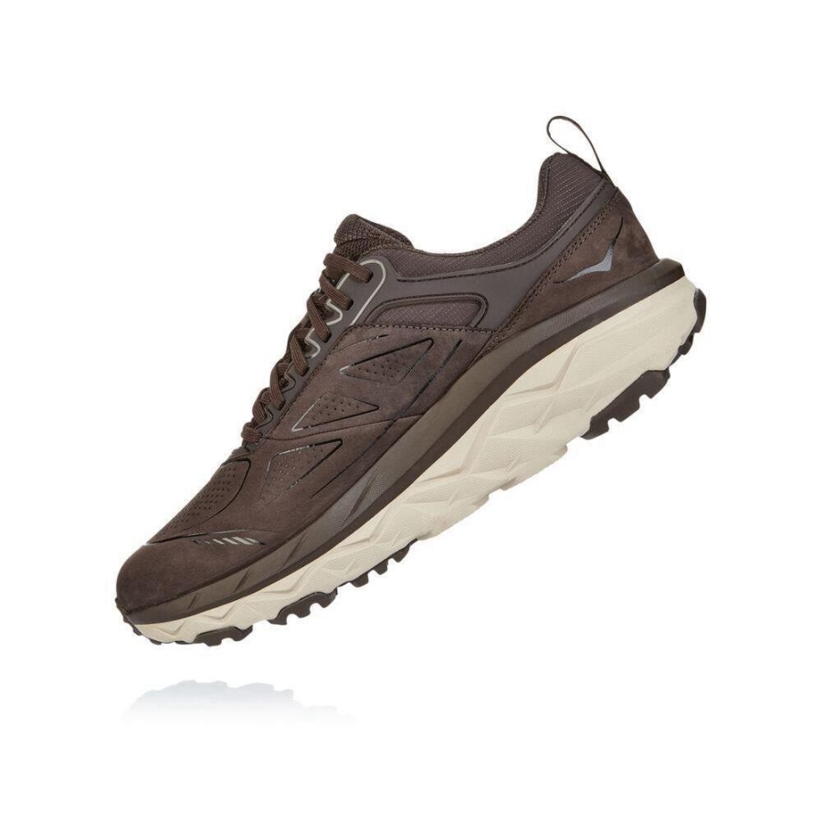 Men's Hoka Challenger Low GORE-TEX Hiking Shoes Brown / White | US56EVAFD