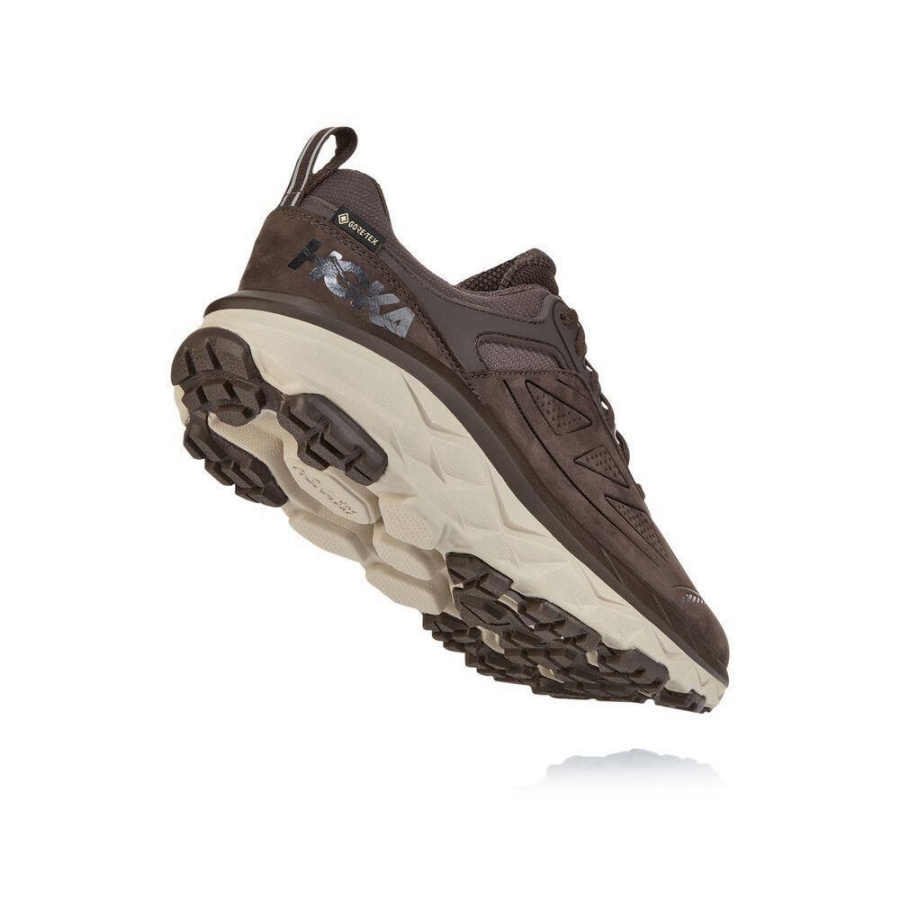 Men's Hoka Challenger Low GORE-TEX Running Shoes Brown / White | US63LNXDA