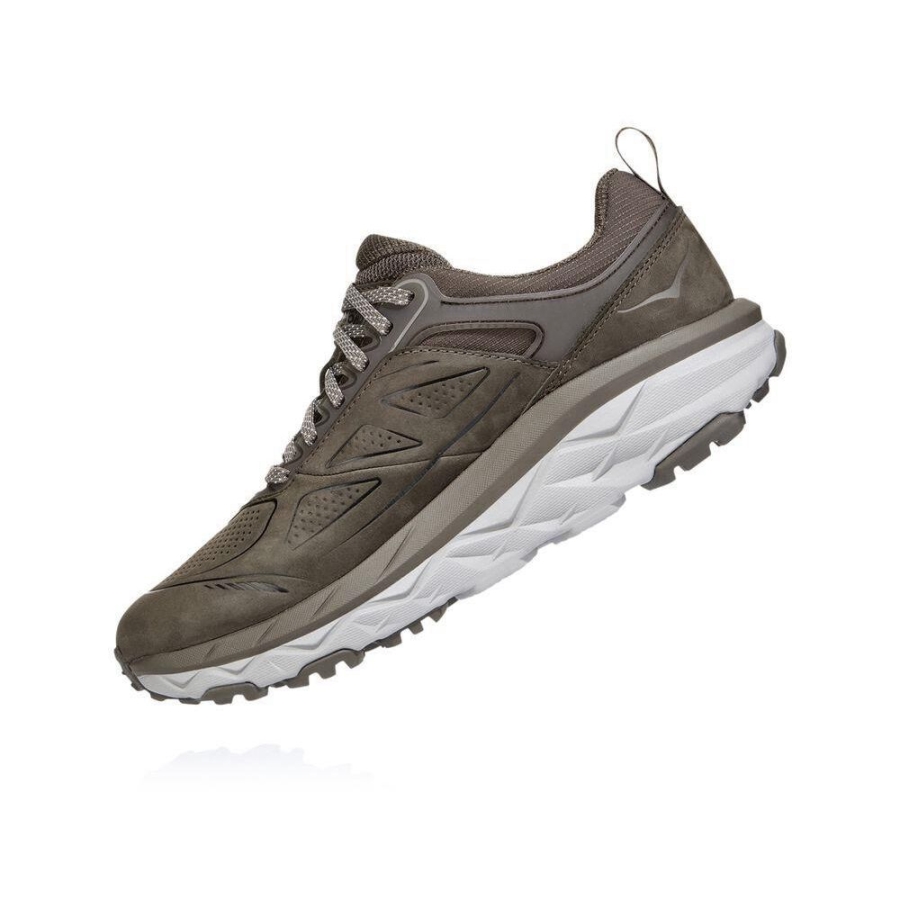 Women's Hoka Challenger Low GORE-TEX Hiking Shoes Brown | US20JERUQ