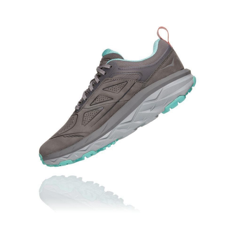 Women's Hoka Challenger Low GORE-TEX Hiking Shoes Grey | US54CSJVM