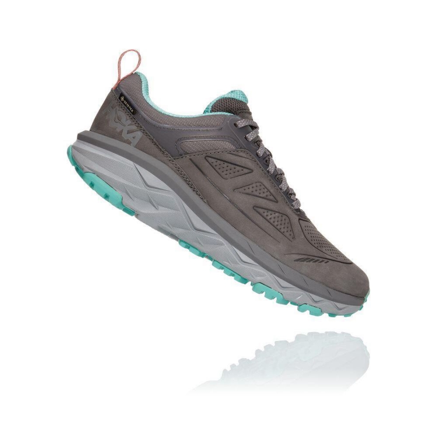 Women's Hoka Challenger Low GORE-TEX Running Shoes Grey | US12RWCQY