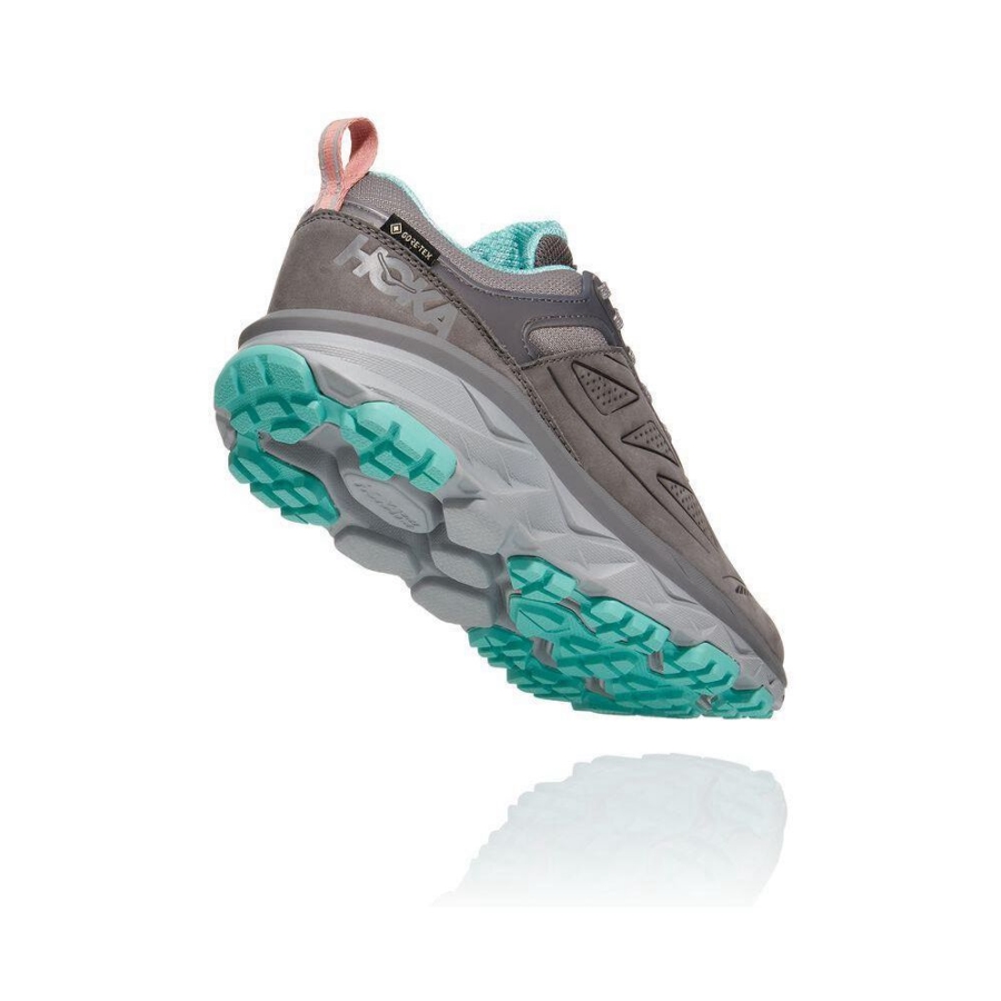 Women's Hoka Challenger Low GORE-TEX Running Shoes Grey | US12RWCQY